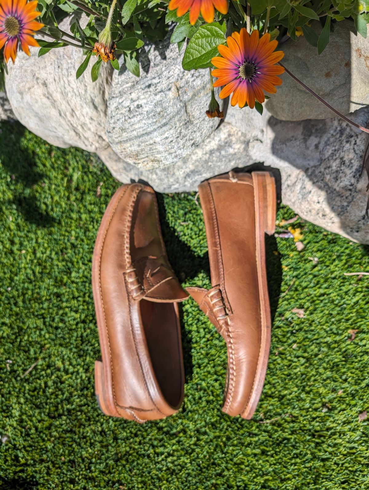Photo by Dodgers78 on March 4, 2024 of the Rancourt & Co. Beefroll Penny Loafers in Horween Natural Chromexcel.