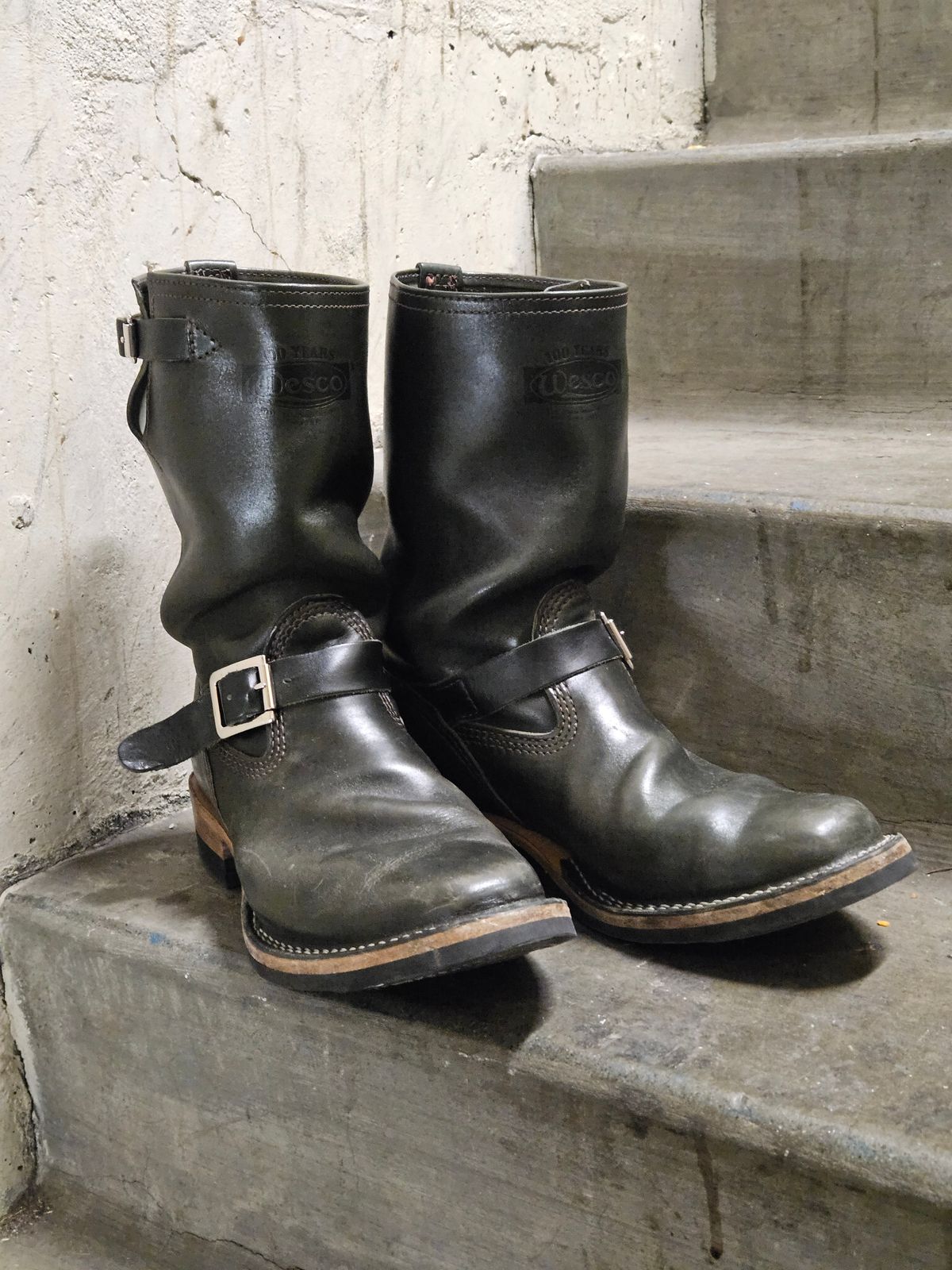 Photo by aDogNamedMerle on November 10, 2024 of the Wesco Mister Lou in Maryam Petrolio Waxed Black Horsehide.