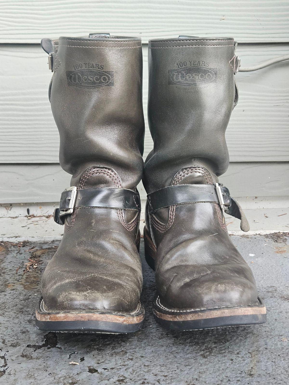 Photo by aDogNamedMerle on January 5, 2025 of the Wesco Mister Lou in Maryam Petrolio Waxed Black Horsehide.