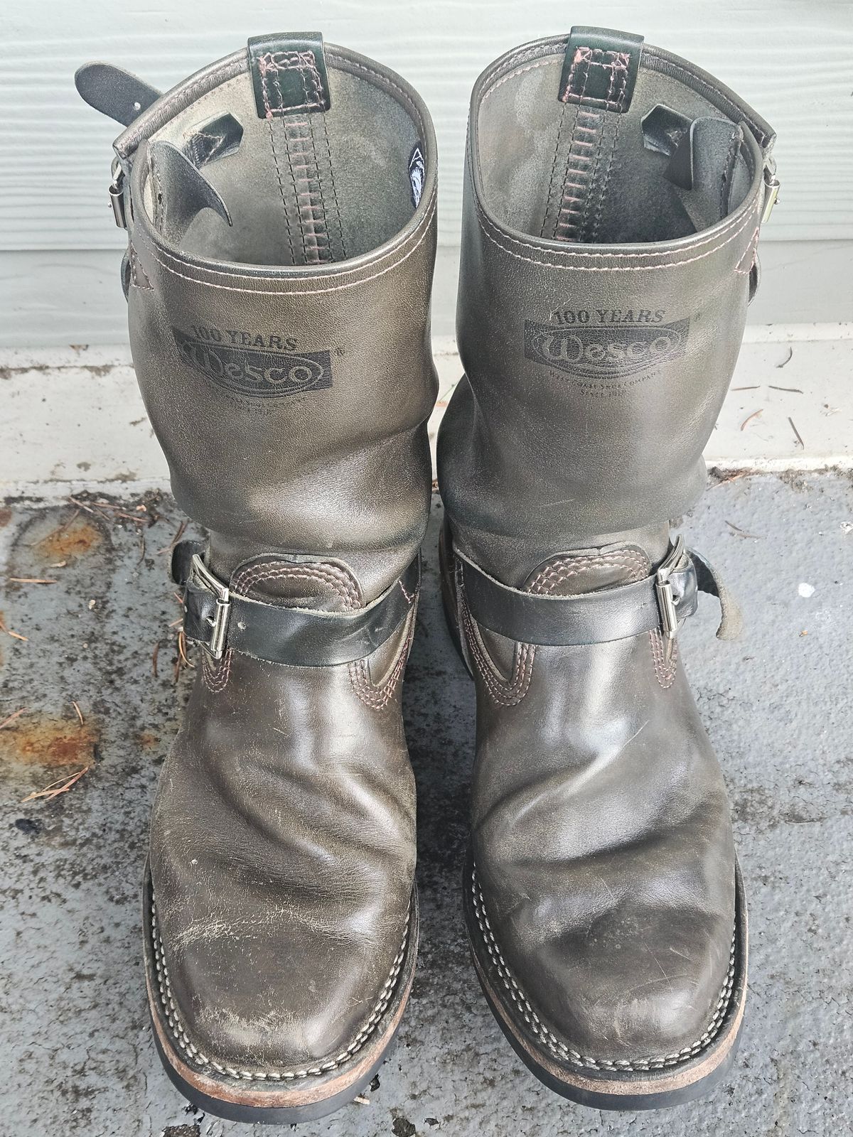 Photo by aDogNamedMerle on January 5, 2025 of the Wesco Mister Lou in Maryam Petrolio Waxed Black Horsehide.