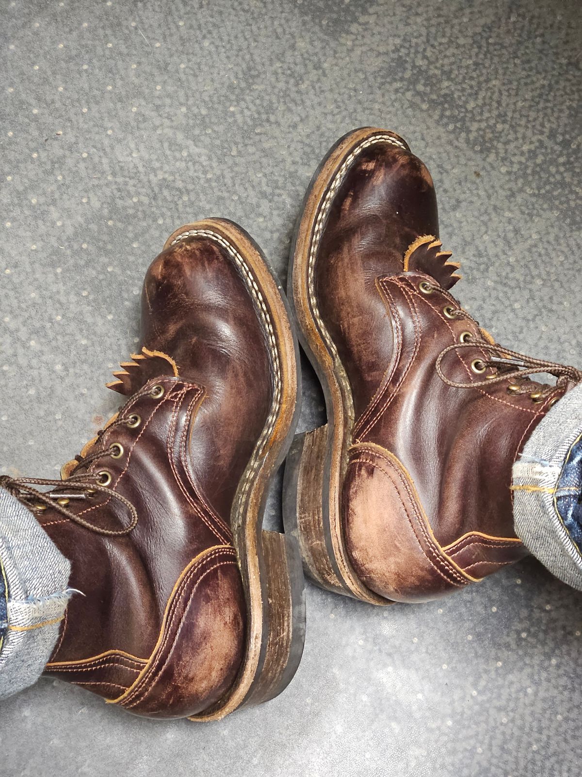 Photo by aDogNamedMerle on November 5, 2025 of the Frank's Boots Wilshire in Seidel Brown Domain.