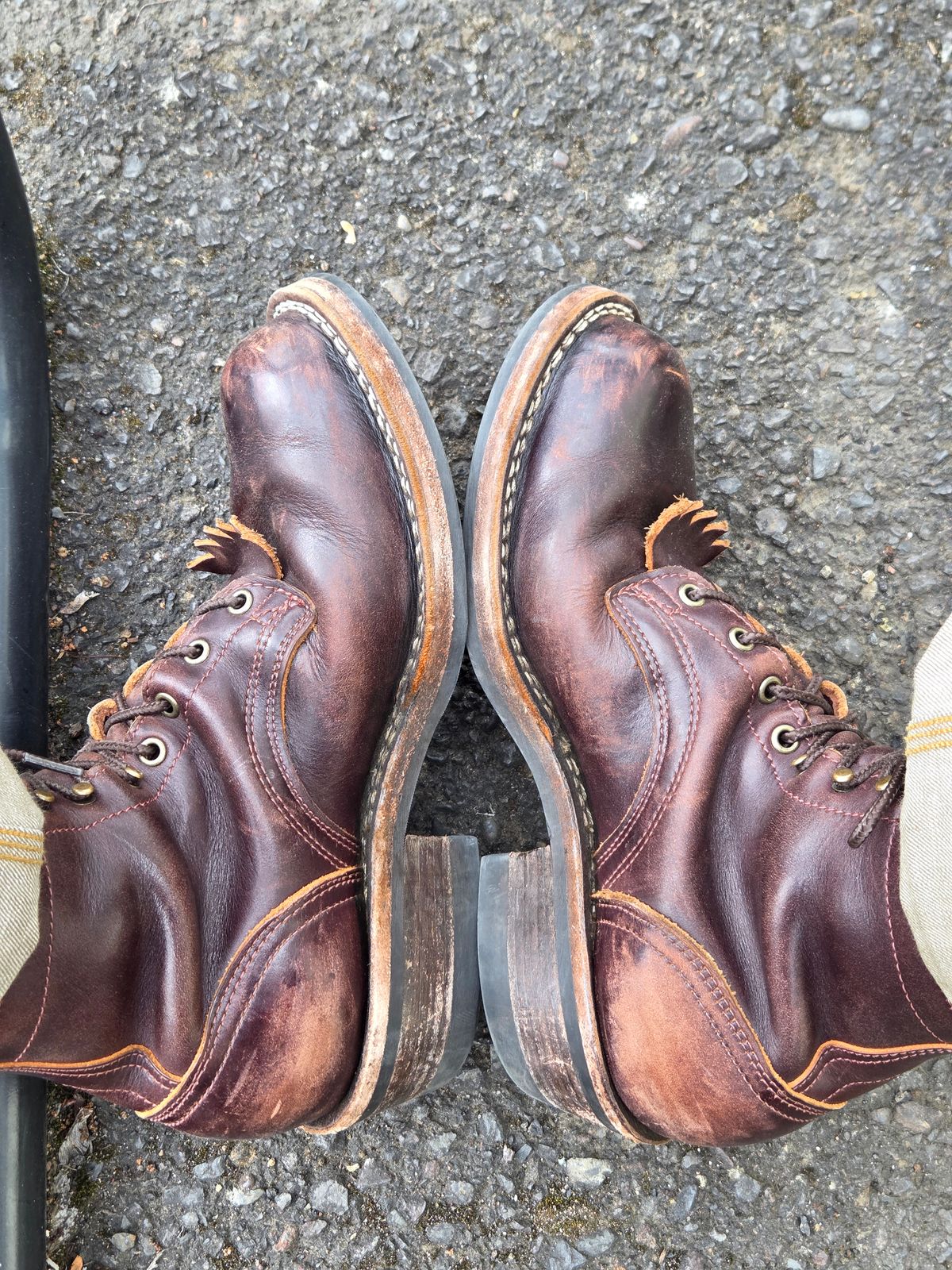 Photo by aDogNamedMerle on July 1, 2026 of the Frank's Boots Wilshire in Seidel Brown Domain.