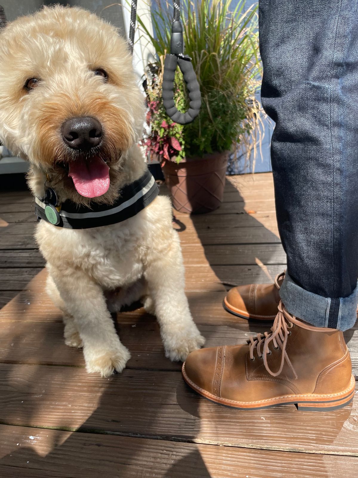 Photo by alamacchia2 on October 1, 2023 of the Oak Street Bootmakers Trench Boot in Horween Natural Chromexcel.