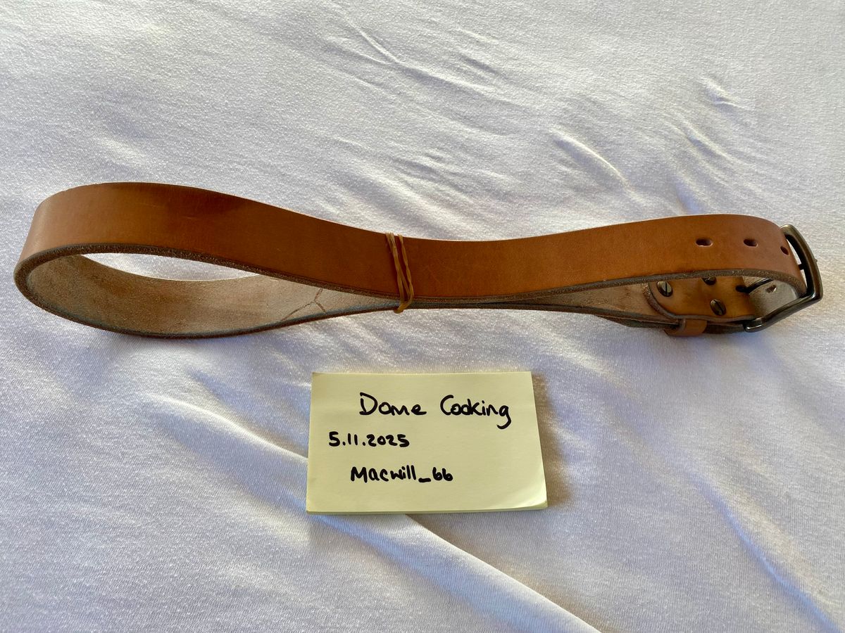 Photo by willmac on November 5, 2025 of the Carmine jack Oak Bark Bridle Belt in J&FJ Baker Natural Oak Bark Tanned Harness.