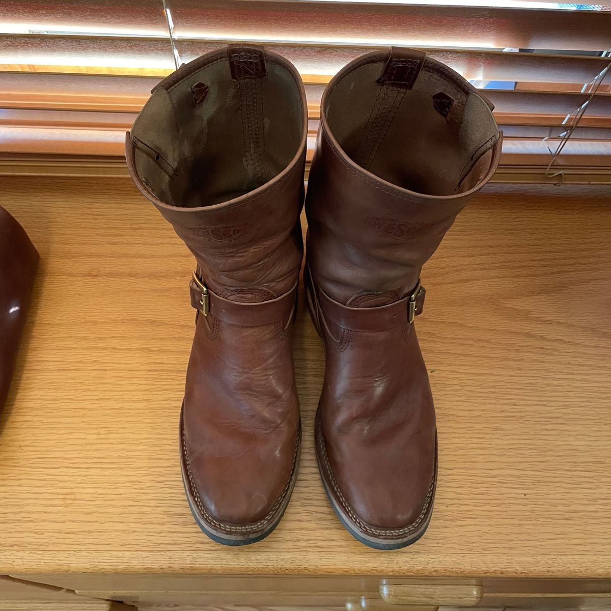 Photo by bootsinbend on November 1, 2022 of the Wesco Mister Lou in Maryam Toscanello TPR Horsebutt.