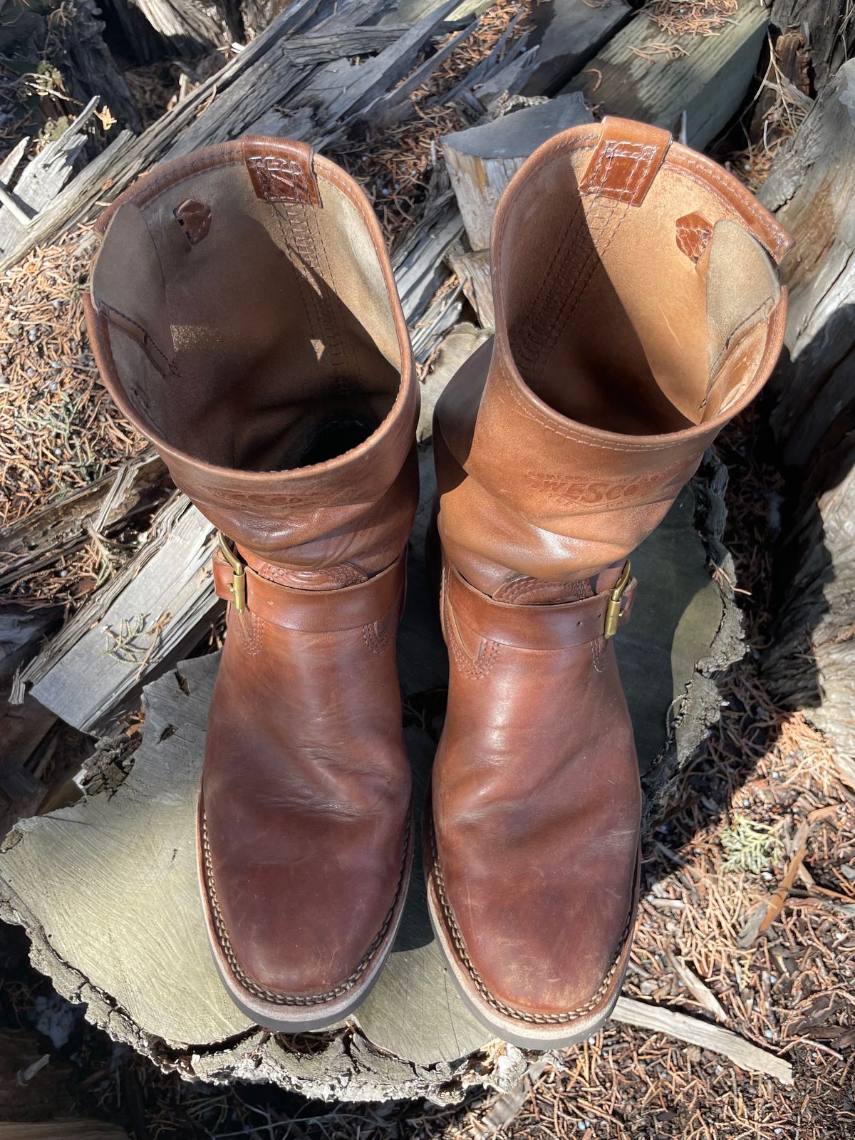 Photo by bootsinbend on April 4, 2023 of the Wesco Mister Lou in Maryam Toscanello TPR Horsebutt.