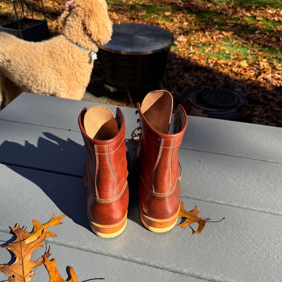 Photo by drwatcherman on November 4, 2025 of the Onderhoud SVC02 Packer Boot in Wickett & Craig Medium Brown Traditional Harness.