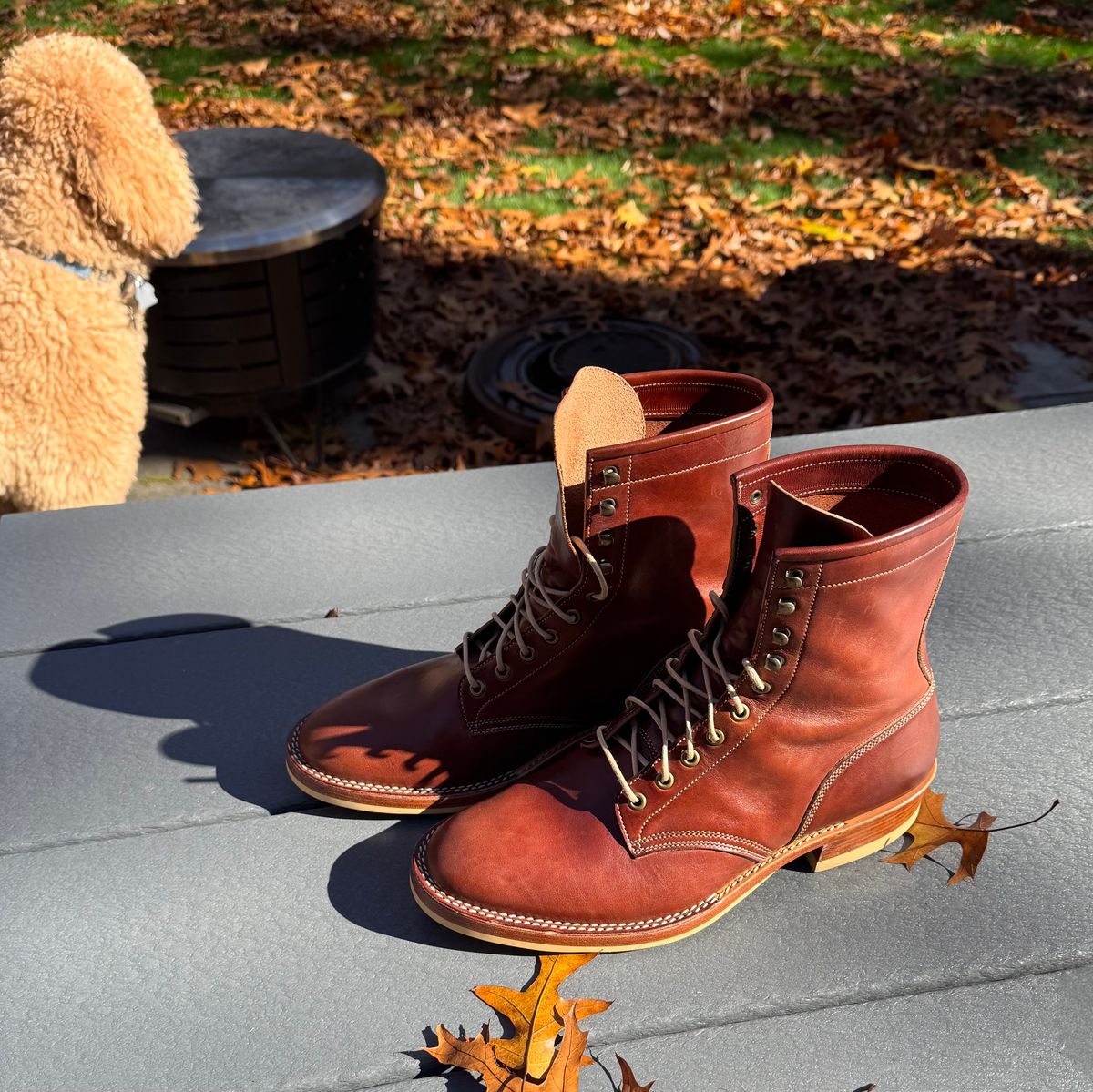 Photo by drwatcherman on November 4, 2025 of the Onderhoud SVC02 Packer Boot in Wickett & Craig Medium Brown Traditional Harness.