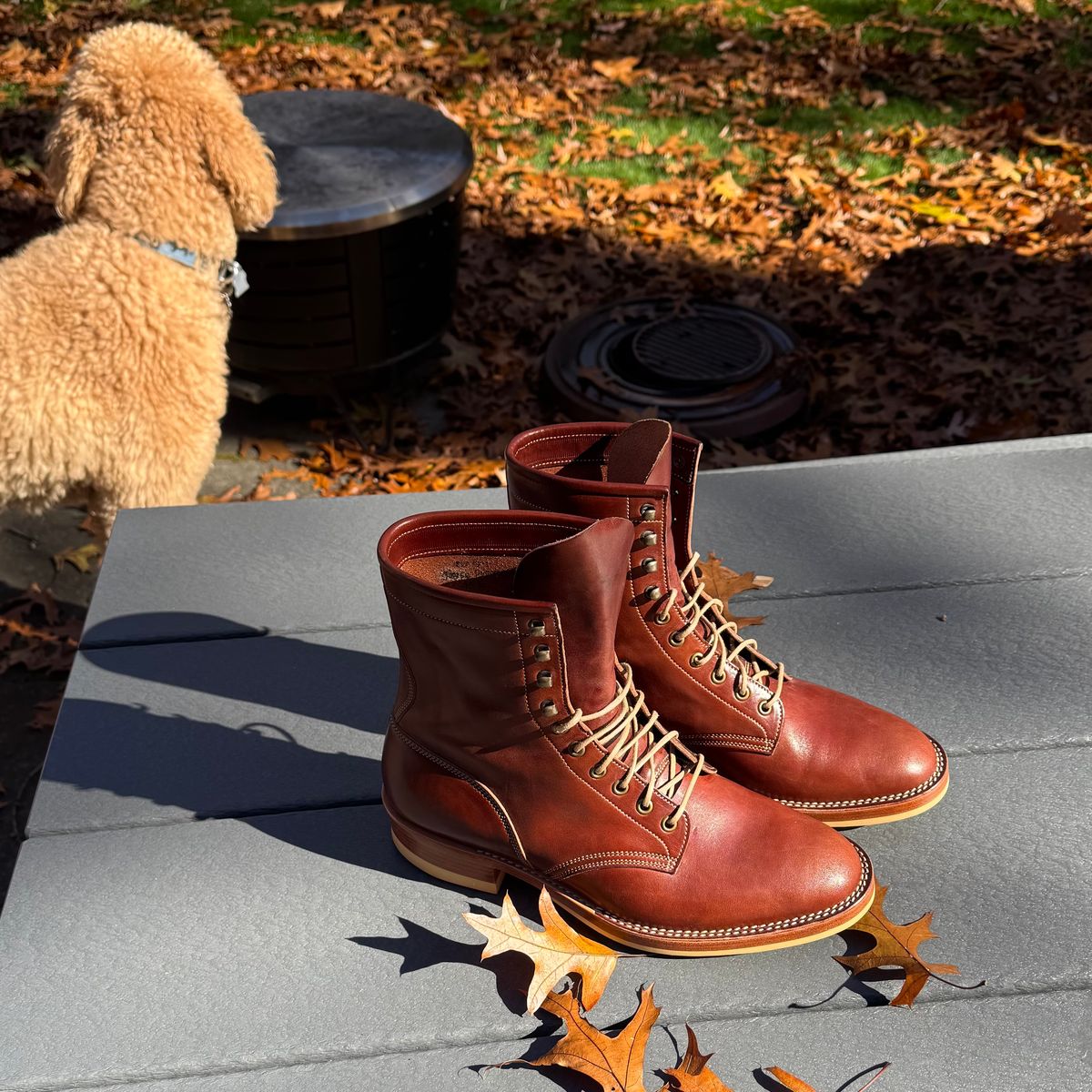 Photo by drwatcherman on November 4, 2025 of the Onderhoud SVC02 Packer Boot in Wickett & Craig Medium Brown Traditional Harness.