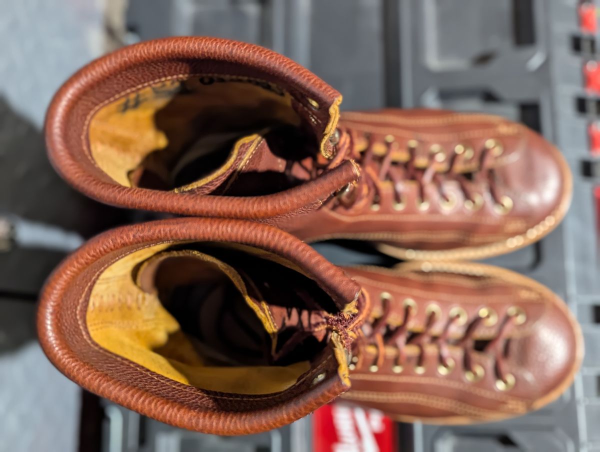 Photo by msmith1389 on April 1, 2026 of the Kustom Kraft Custom Model in Kobel Russet Harness.