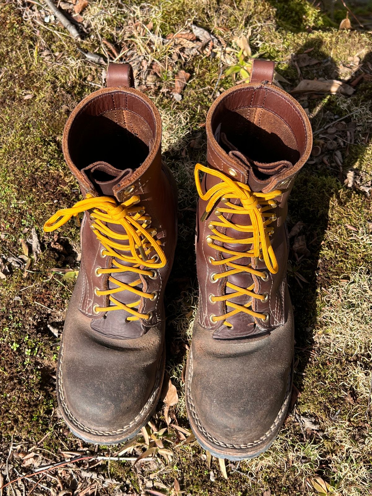 Photo by jrnylaces on February 3, 2024 of the Nicks BuilderPro in Seidel 1964 Brown Roughout.