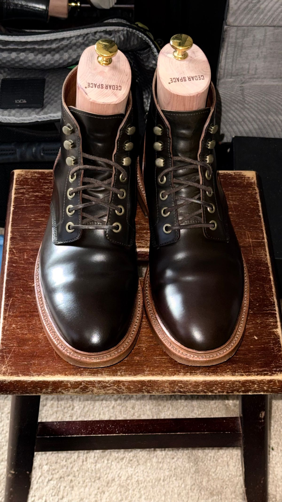 Photo by boots_4_me on June 5, 2025 of the Grant Stone Diesel Boot in Horween Maduro Shell Cordovan.