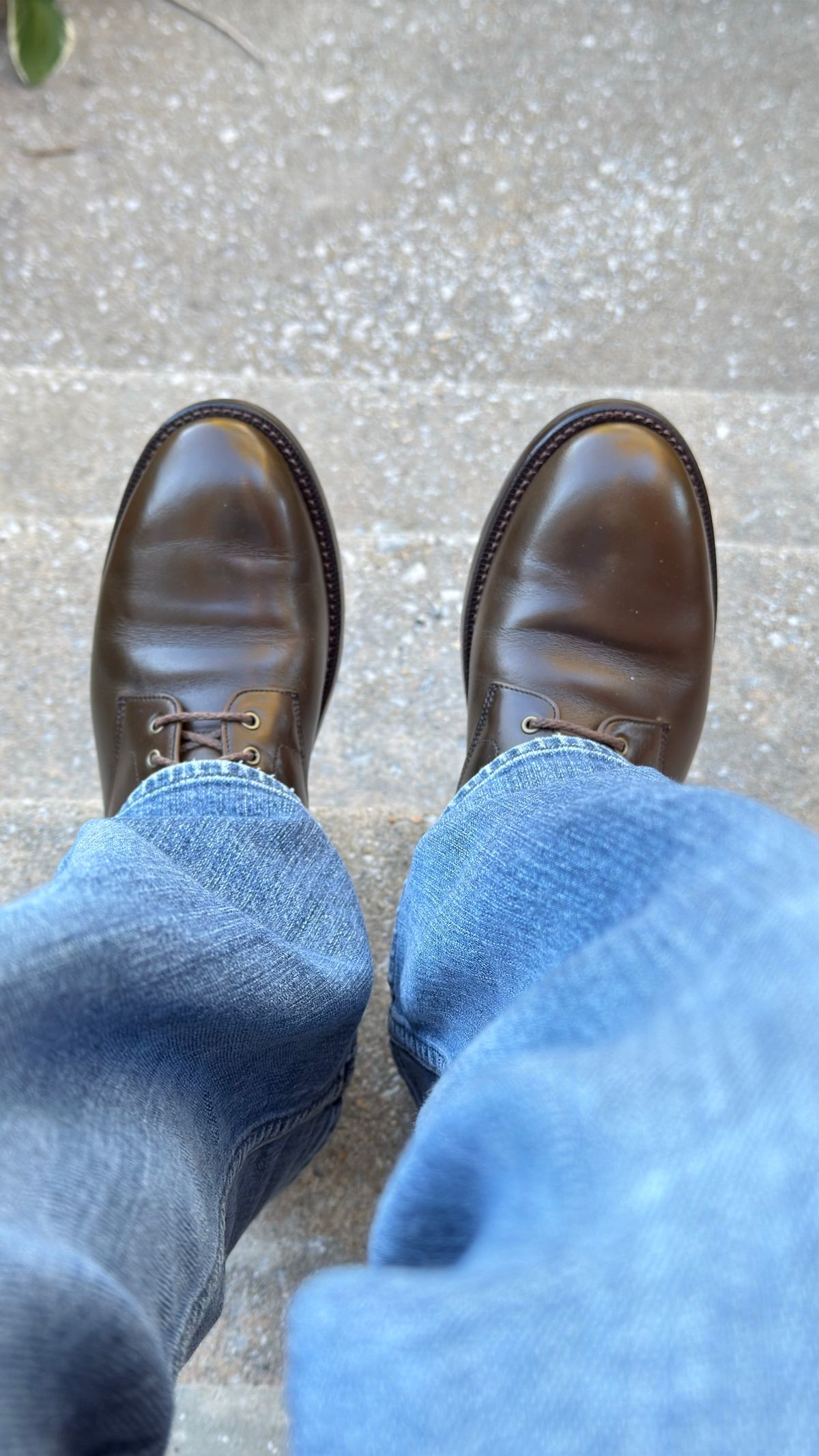 Photo by boots_4_me on October 18, 2024 of the Grant Stone Edward Boot in Horween Dark Olive Chromexcel.