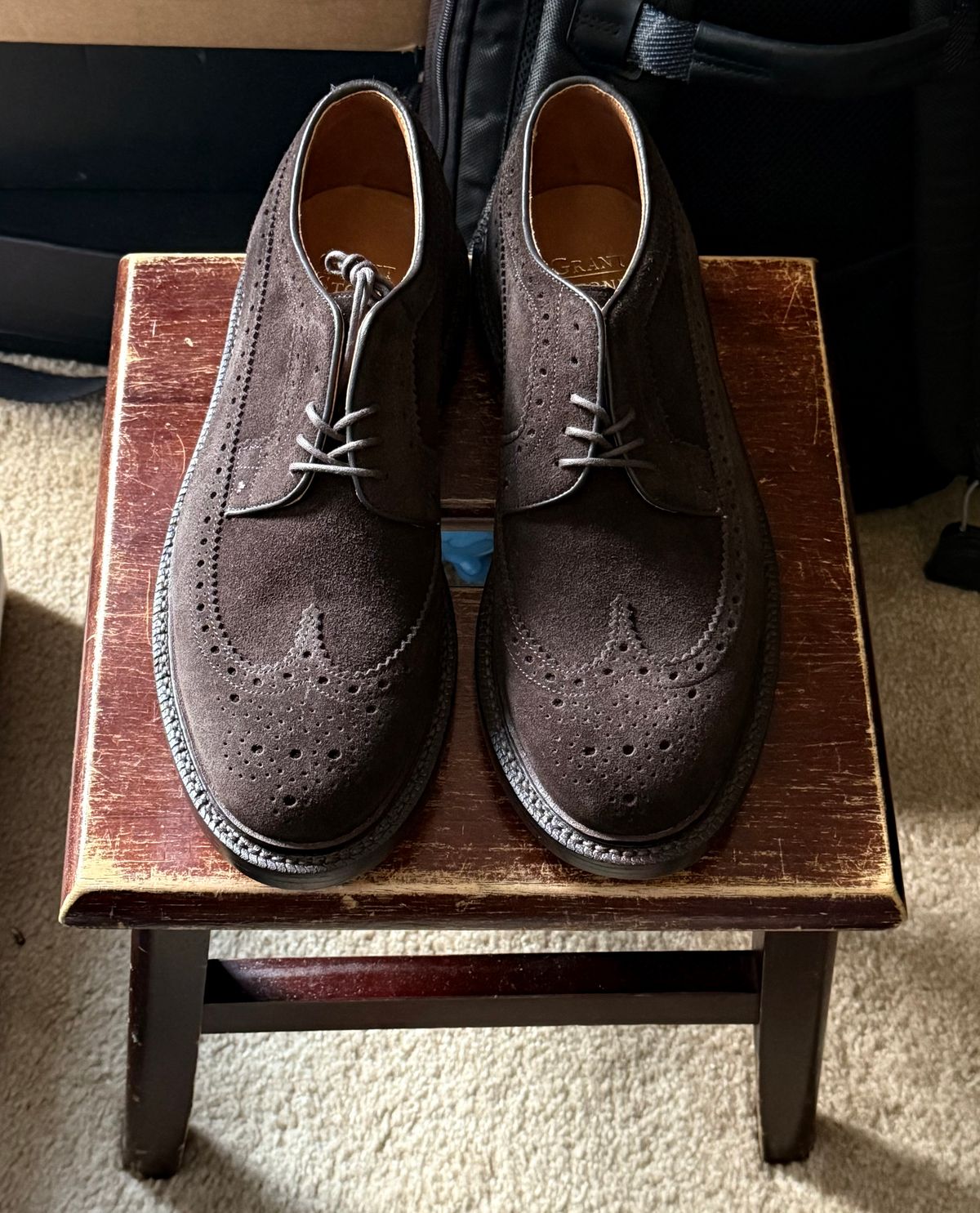 Photo by boots_4_me on July 17, 2025 of the Grant Stone Espresso Longwings in C.F. Stead Espresso Classic Oiled Shoulder.