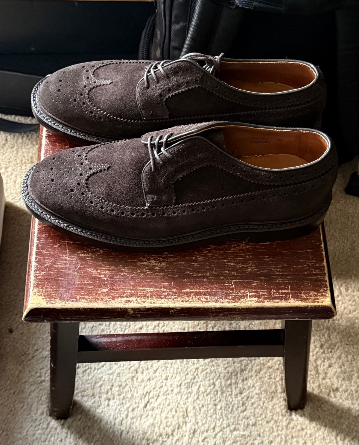 Photo by boots_4_me on July 17, 2025 of the Grant Stone Espresso Longwings in C.F. Stead Espresso Classic Oiled Shoulder.