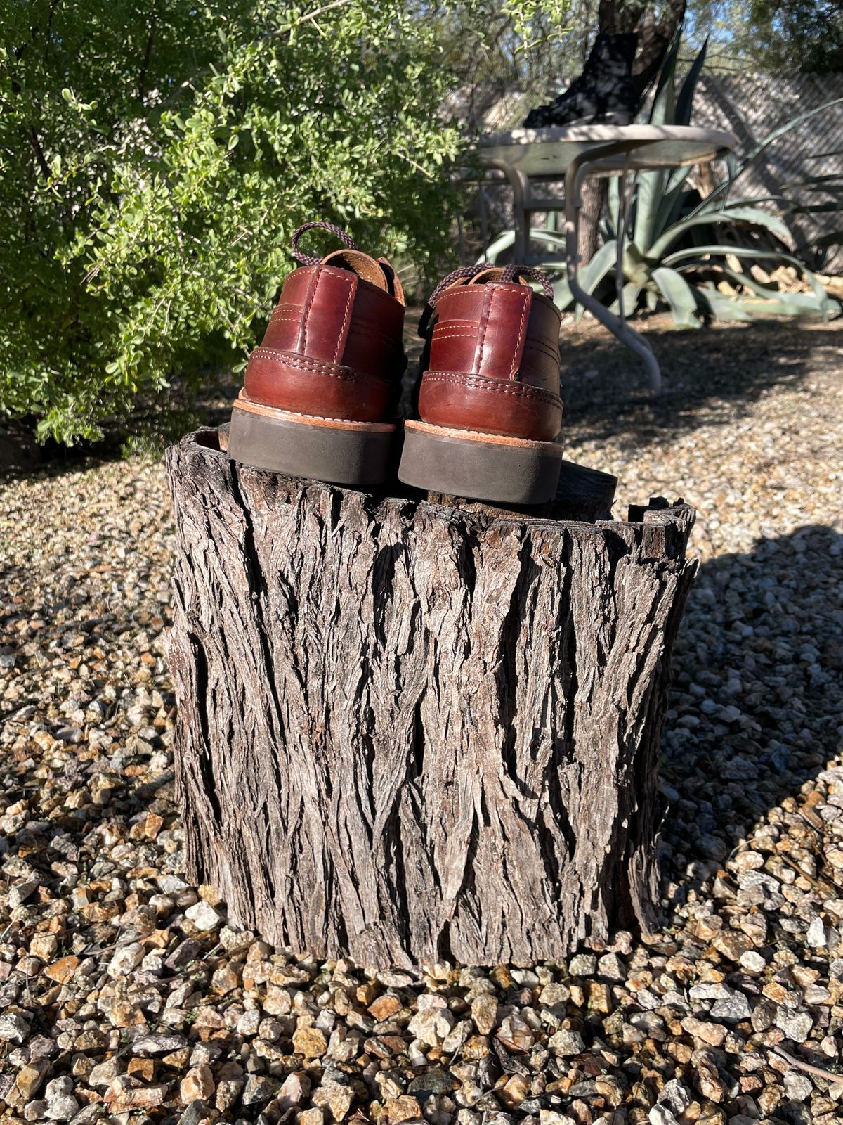 Photo by shakincheese on December 4, 2025 of the Russell Moccasin Co. Fishing Oxford in Seidel British Tan Double Shot.