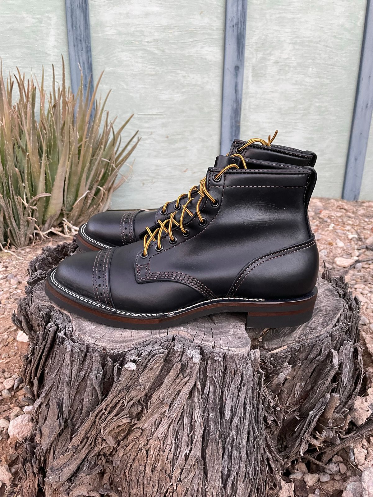 Photo by shakincheese on November 6, 2022 of the Wesco Hendrik in Seidel Ebony Domain.