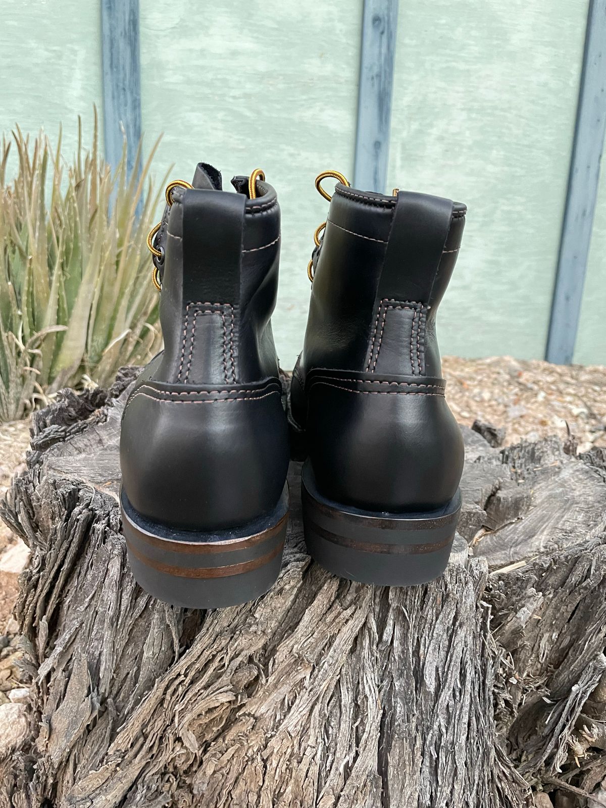 Photo by shakincheese on November 6, 2022 of the Wesco Hendrik in Seidel Ebony Domain.