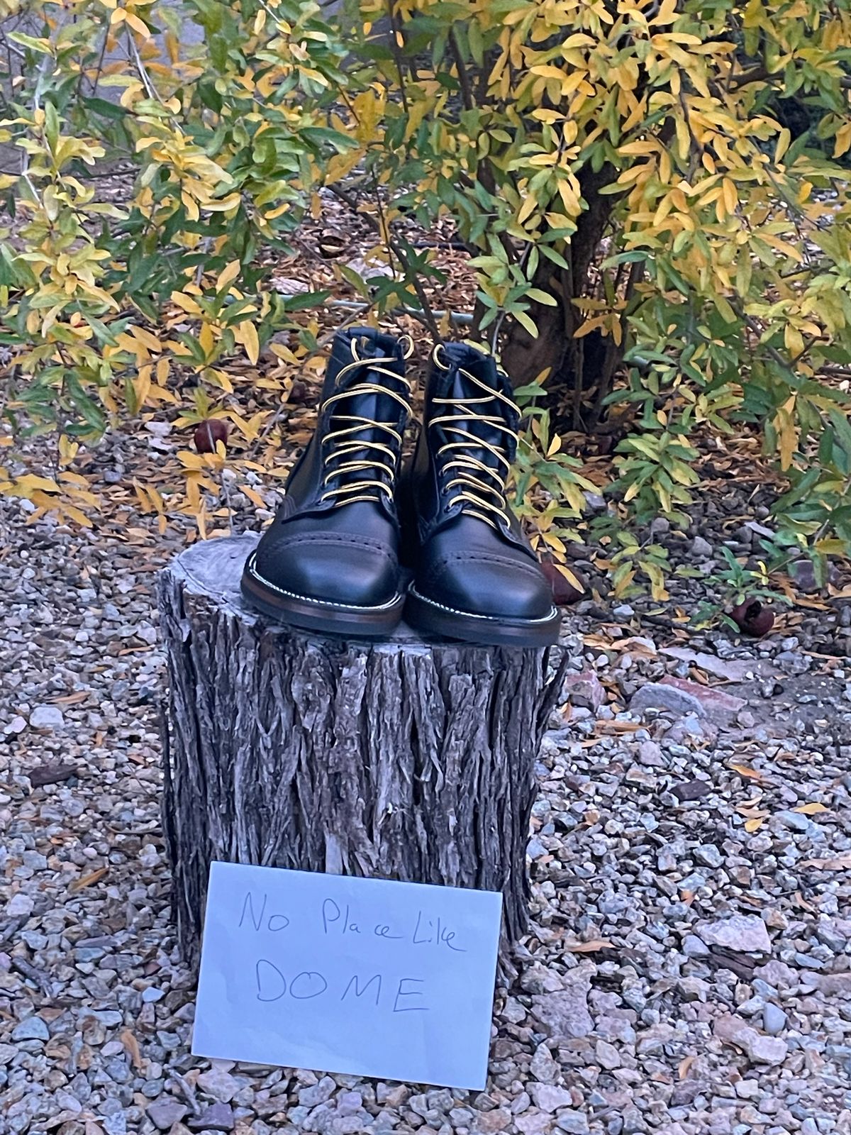Photo by shakincheese on November 6, 2022 of the Wesco Hendrik in Seidel Ebony Domain.