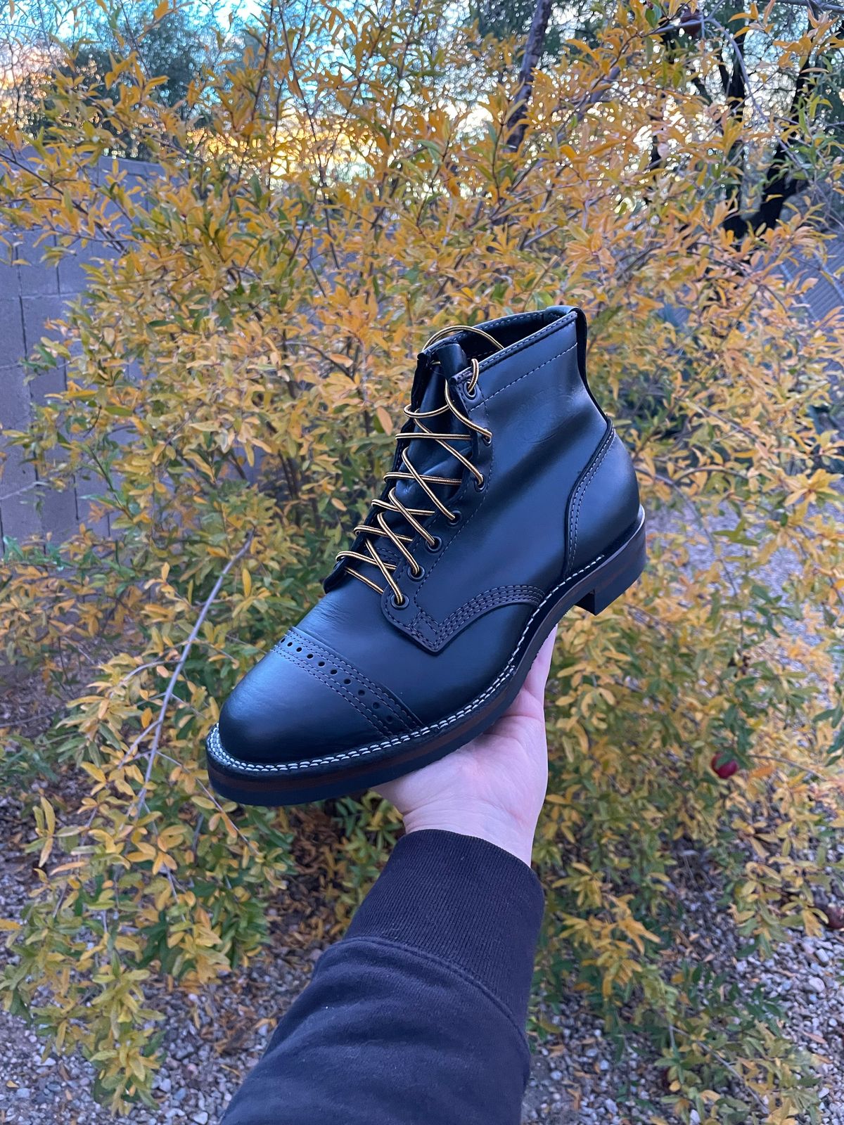 Photo by shakincheese on November 6, 2022 of the Wesco Hendrik in Seidel Ebony Domain.