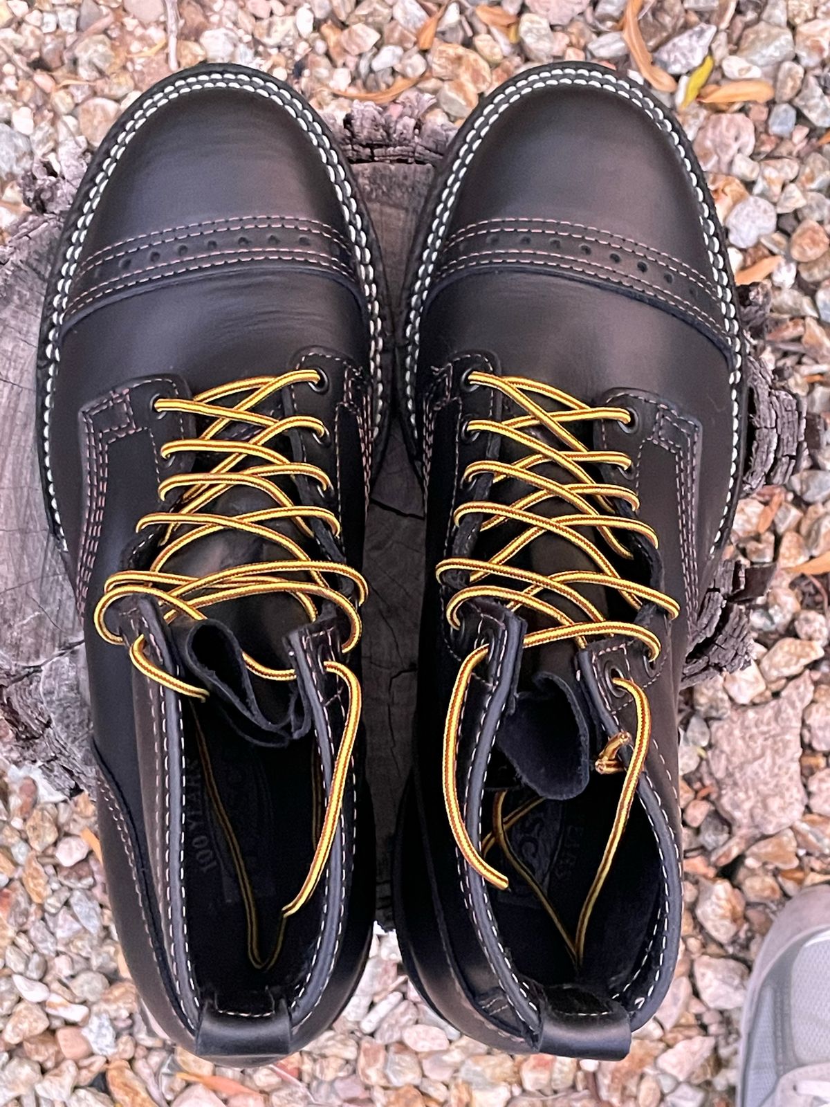 Photo by shakincheese on November 6, 2022 of the Wesco Hendrik in Seidel Ebony Domain.