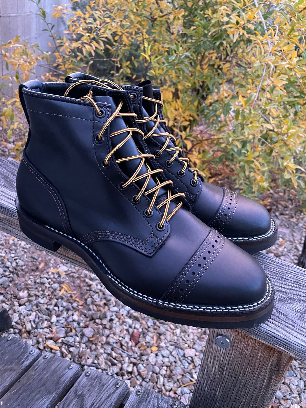 Photo by shakincheese on November 6, 2022 of the Wesco Hendrik in Seidel Ebony Domain.