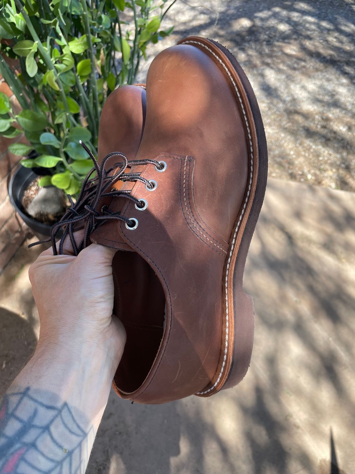 Photo by shakincheese on October 5, 2025 of the Red Wing Foreman Oxford in S.B. Foot Amber Harness.