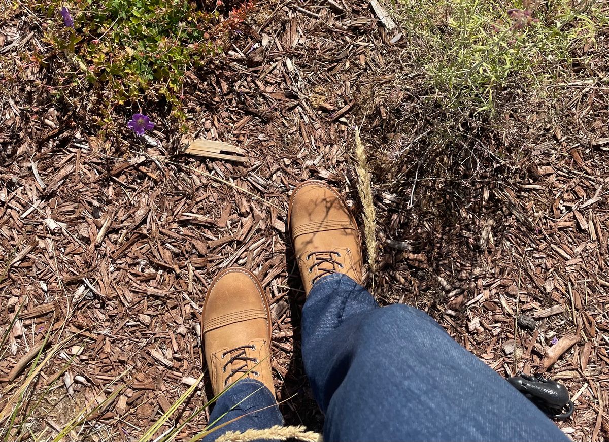 Photo by couchpotato on October 6, 2024 of the Red Wing Iron Ranger in S.B. Foot Hawthorne Muleskinner.