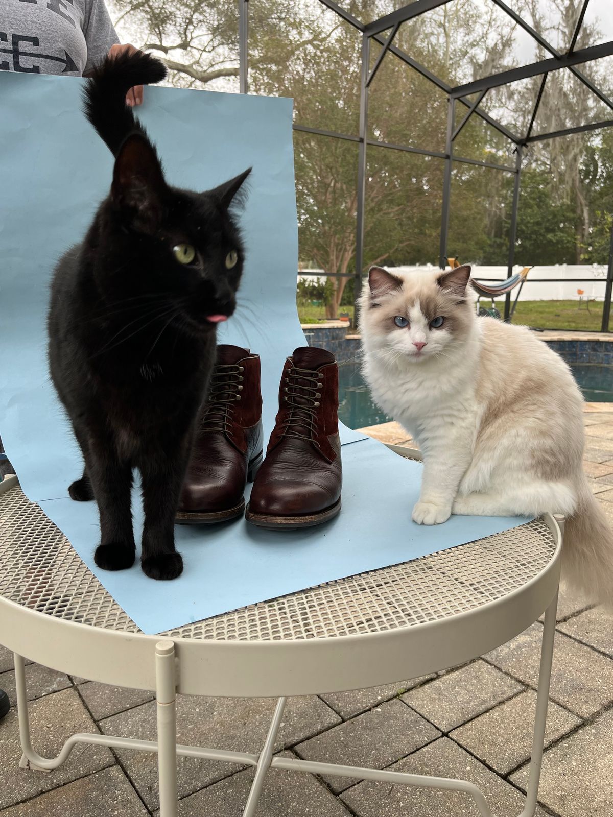 Photo by rickdawg on February 5, 2024 of the Viberg Country Boot in C.F. Stead Polo Brown Classic Oiled Shoulder.