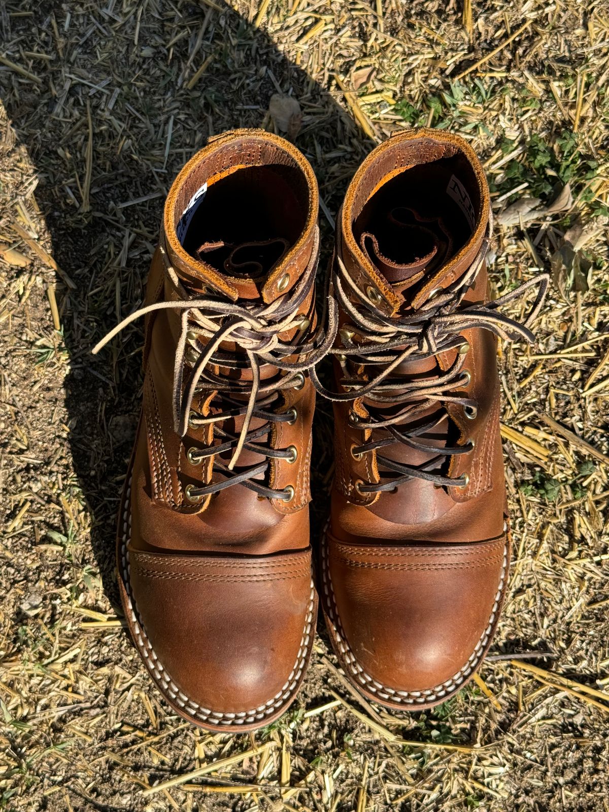 Photo by ham_boy00 on November 3, 2024 of the Nicks Americana in Horween Orange Predator.