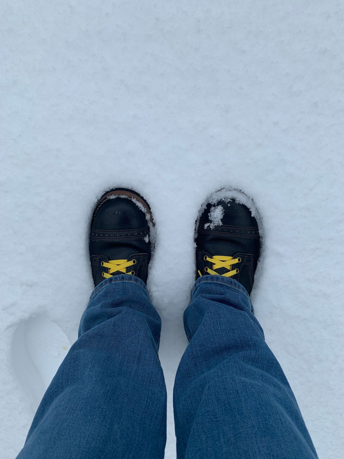 Photo by rubyjupiter on February 13, 2021 of the Wesco Warren Boot in Horween Navy Waxed Flesh.