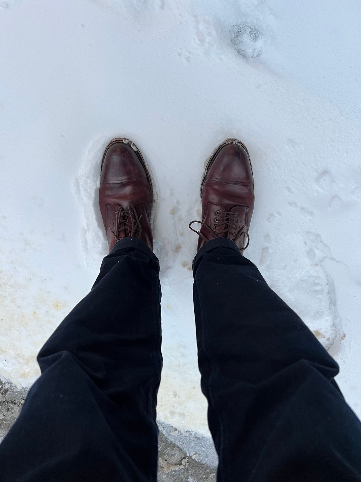 Photo by boot_chiro on January 3, 2023 of the Meermin Jumper Boot in Burgundy Heritage Shell Cordovan.
