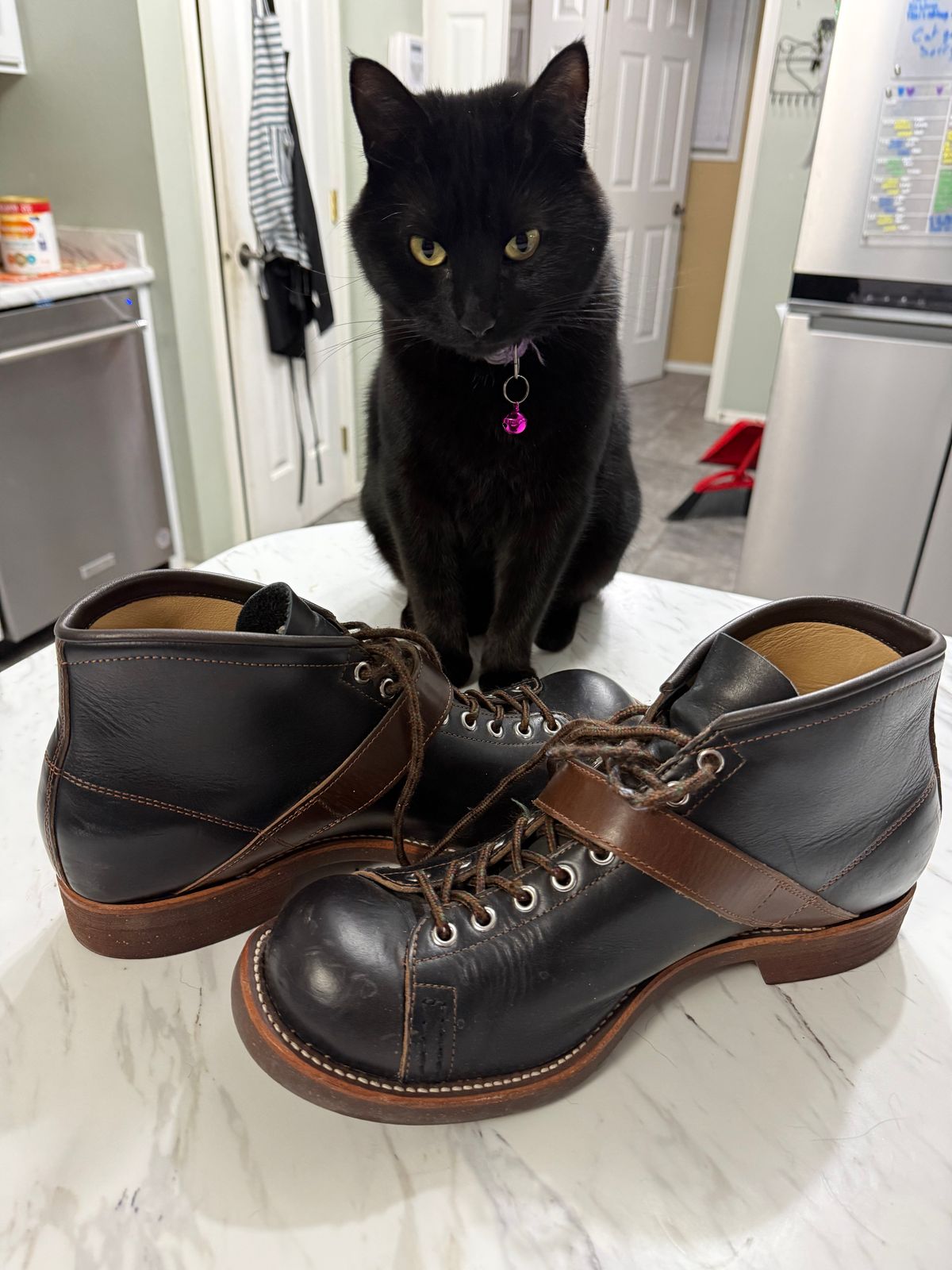 Photo by neocynn on December 5, 2025 of the Dr. Sole Ski Boot in Horween Black Chromexcel.