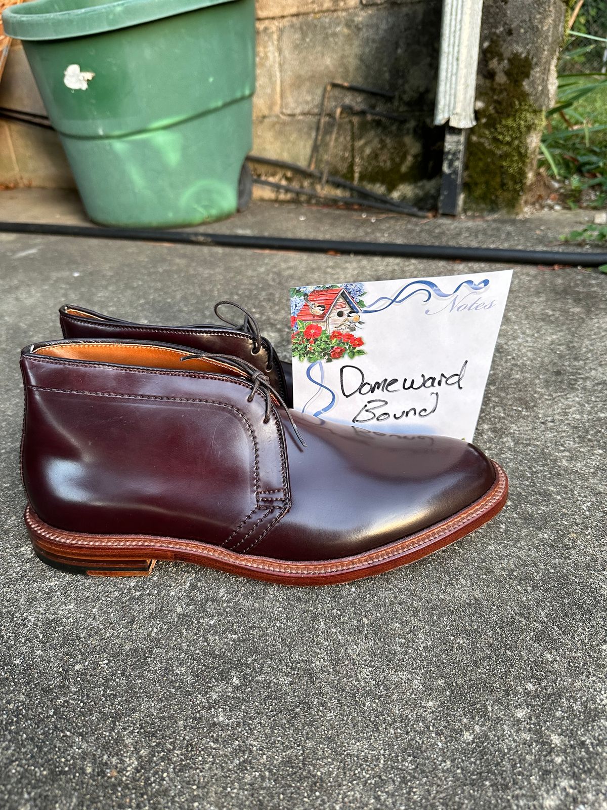 Photo by MacBerf on October 10, 2023 of the Alden 2-Eyelet Chukka in Horween Color 8 Shell Cordovan.
