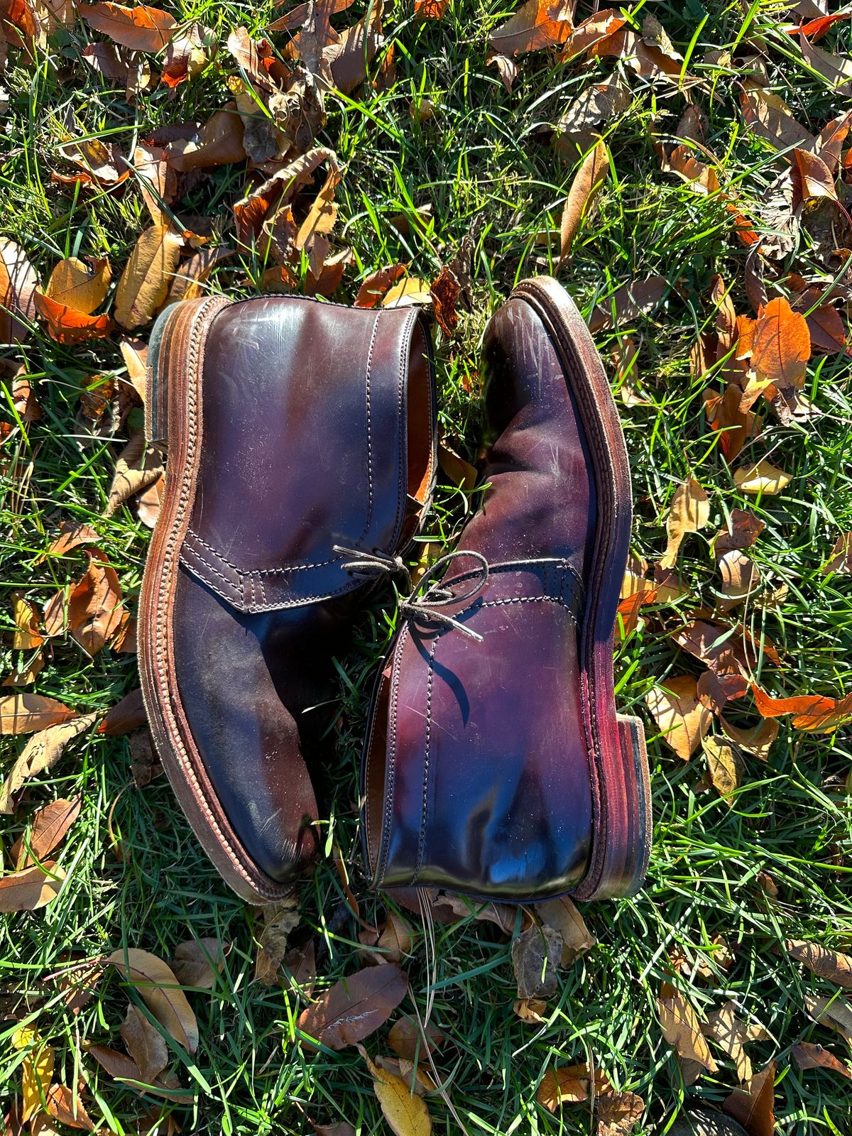 Photo by MacBerf on November 5, 2023 of the Alden 2-Eyelet Chukka in Horween Color 8 Shell Cordovan.