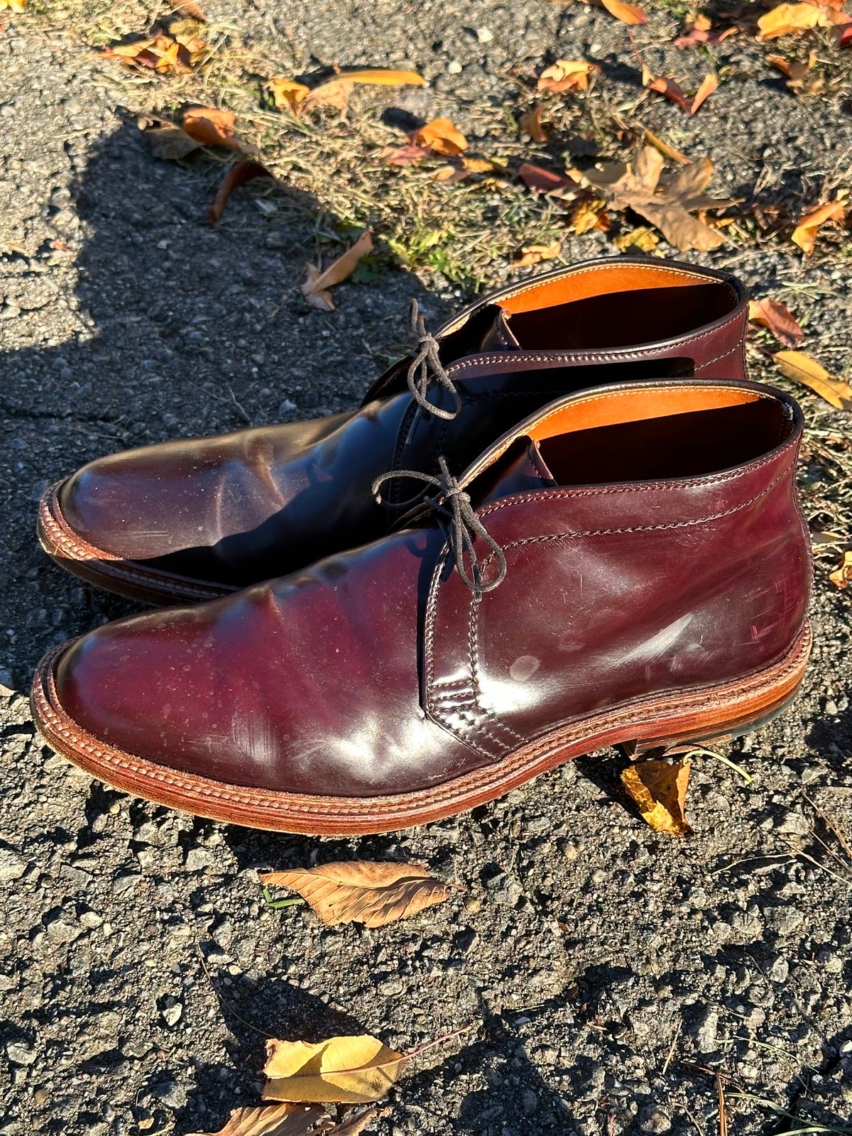 Photo by MacBerf on November 5, 2023 of the Alden 2-Eyelet Chukka in Horween Color 8 Shell Cordovan.