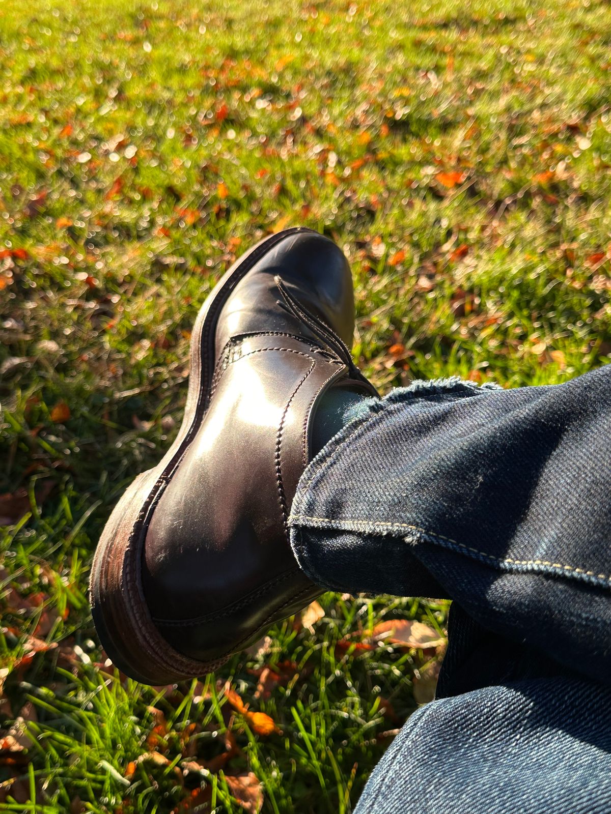 Photo by MacBerf on November 5, 2023 of the Alden 2-Eyelet Chukka in Horween Color 8 Shell Cordovan.