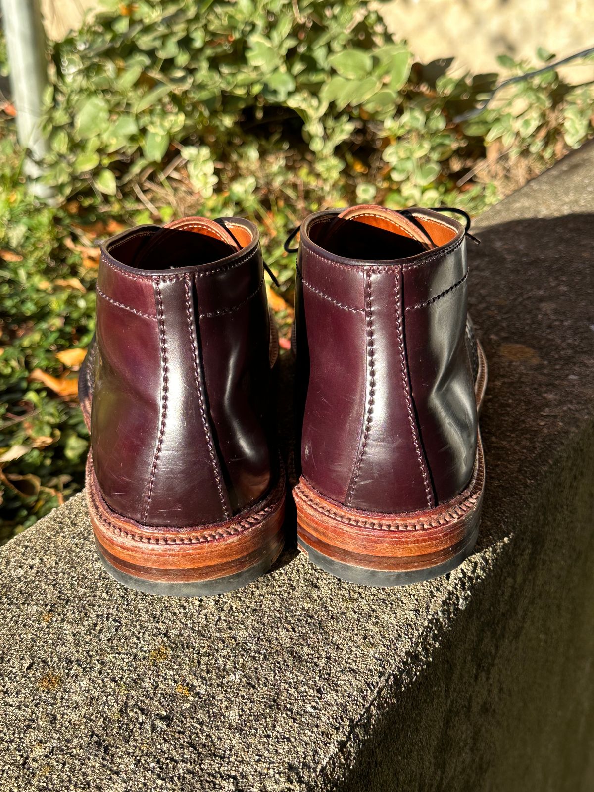 Photo by MacBerf on November 5, 2023 of the Alden 2-Eyelet Chukka in Horween Color 8 Shell Cordovan.