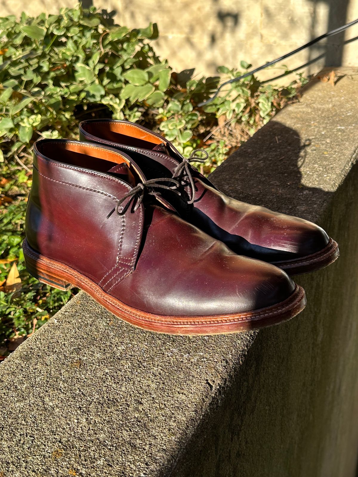 Photo by MacBerf on November 5, 2023 of the Alden 2-Eyelet Chukka in Horween Color 8 Shell Cordovan.