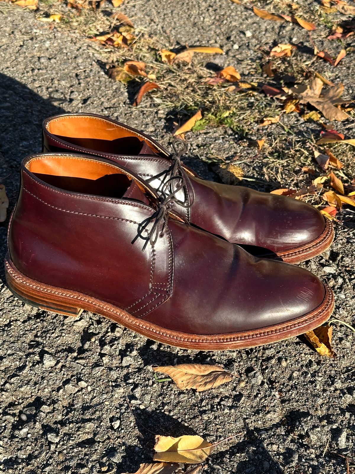 Photo by MacBerf on November 5, 2023 of the Alden 2-Eyelet Chukka in Horween Color 8 Shell Cordovan.