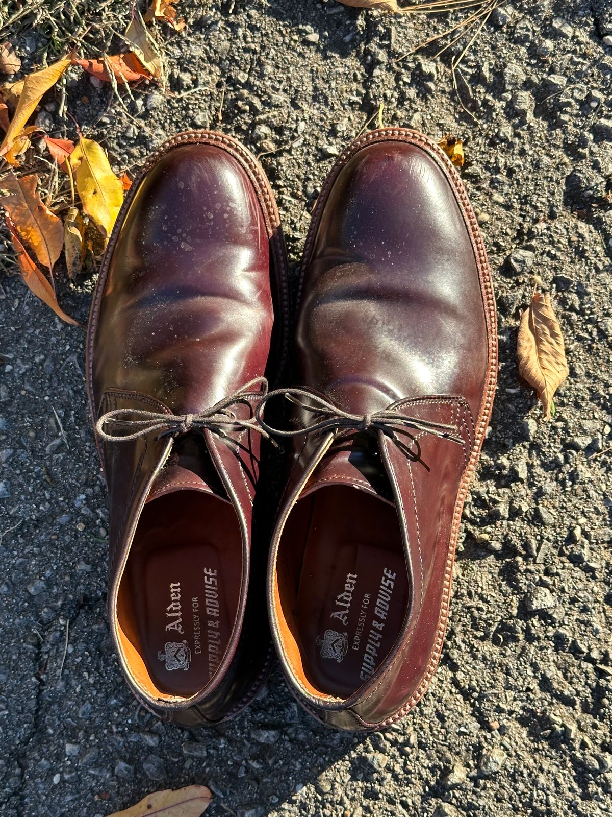 Photo by MacBerf on November 5, 2023 of the Alden 2-Eyelet Chukka in Horween Color 8 Shell Cordovan.