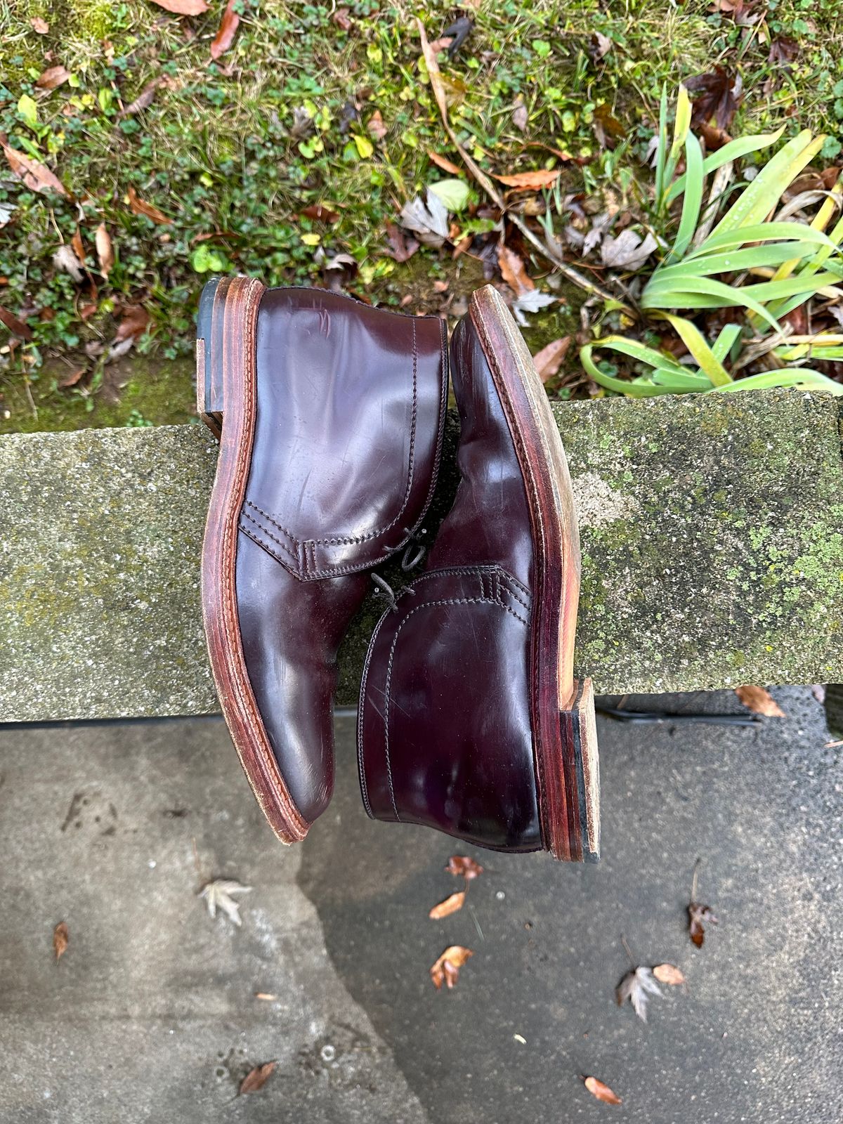 Photo by MacBerf on December 5, 2023 of the Alden 2-Eyelet Chukka in Horween Color 8 Shell Cordovan.