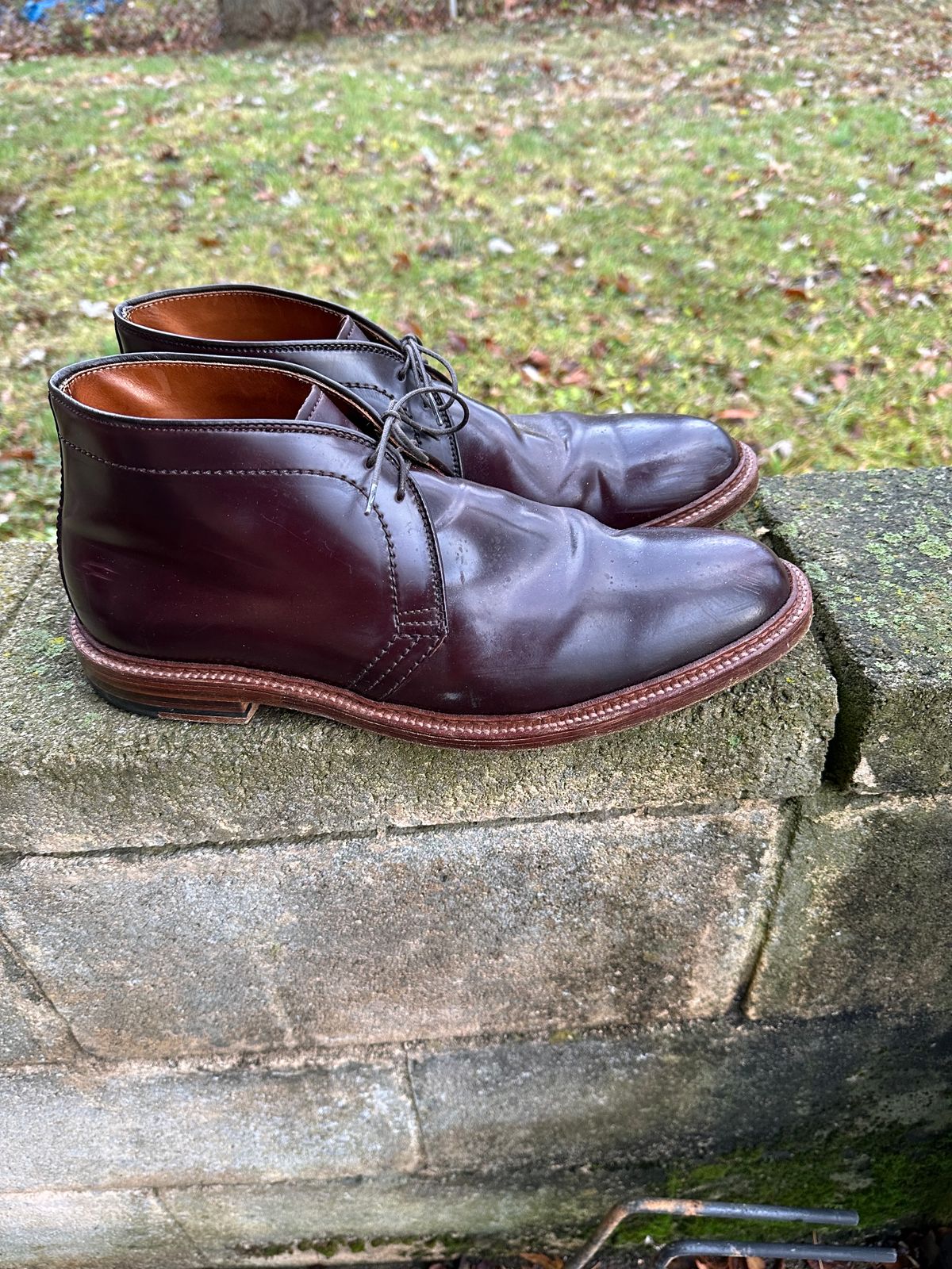 Photo by MacBerf on December 5, 2023 of the Alden 2-Eyelet Chukka in Horween Color 8 Shell Cordovan.