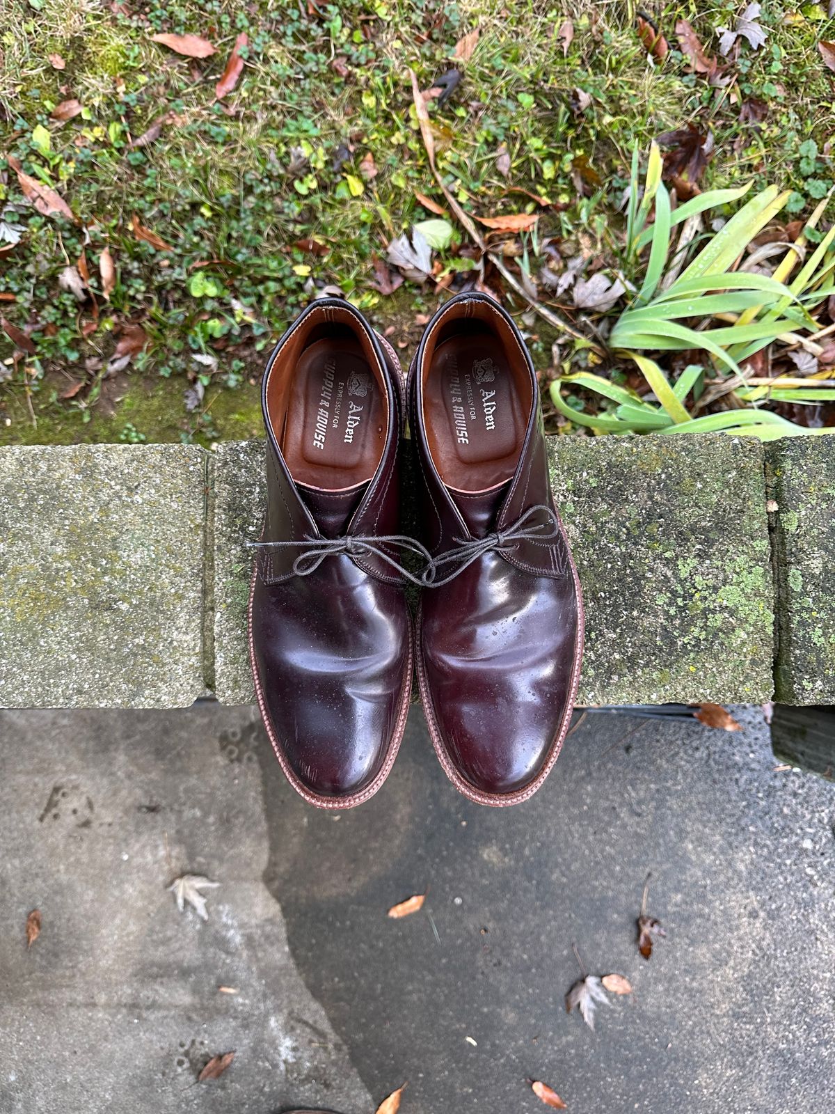 Photo by MacBerf on December 5, 2023 of the Alden 2-Eyelet Chukka in Horween Color 8 Shell Cordovan.