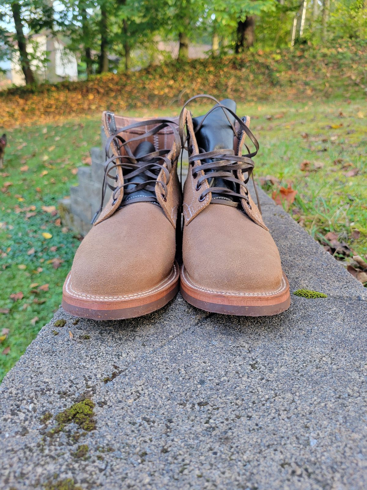 Photo by giraffchen on October 3, 2025 of the Oak Street Bootmakers Storm Boot in Horween Natural Chromexcel Roughout.