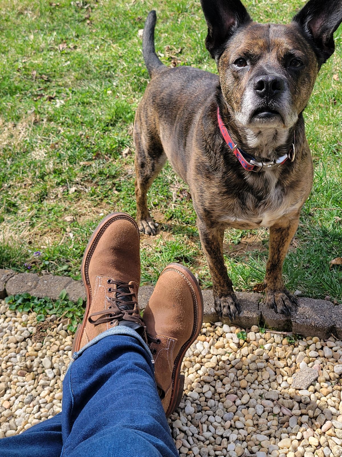 Photo by giraffchen on March 15, 2026 of the Oak Street Bootmakers Storm Boot in Horween Natural Chromexcel Roughout.