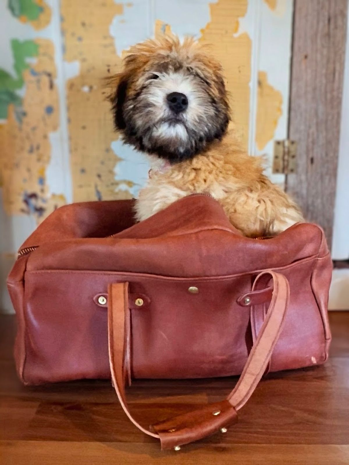 Photo by amvoith on October 2, 2025 of the Homestead Brand Standard Duffle No. 2004 in USA Tanned Full Grain 6-8oz Leather.