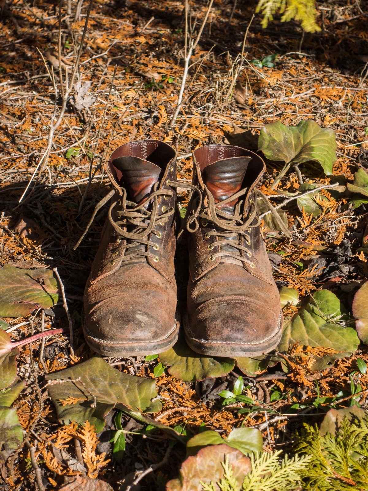 Photo by amvoith on March 2, 2024 of the Viberg Service Boot in Horween Brown Waxed Flesh.