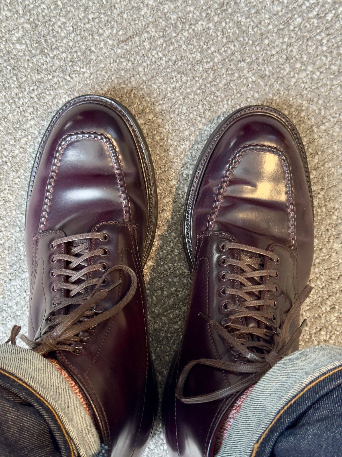 Photo by ACepero on September 24, 2024 of the Alden Indy Boot in Horween Color 8 Shell Cordovan.