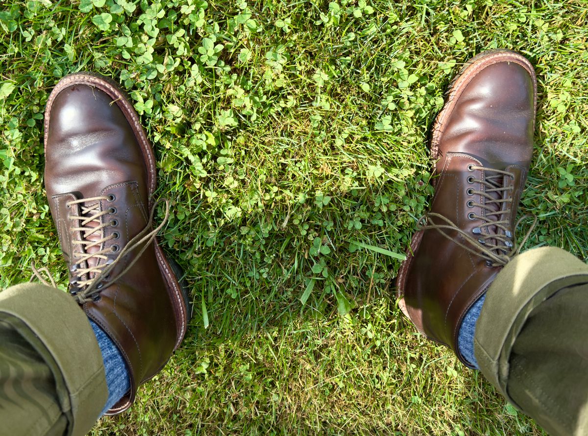 Photo by ACepero on July 5, 2025 of the Alden Plain Toe Boot in Horween Brown Chromexcel.